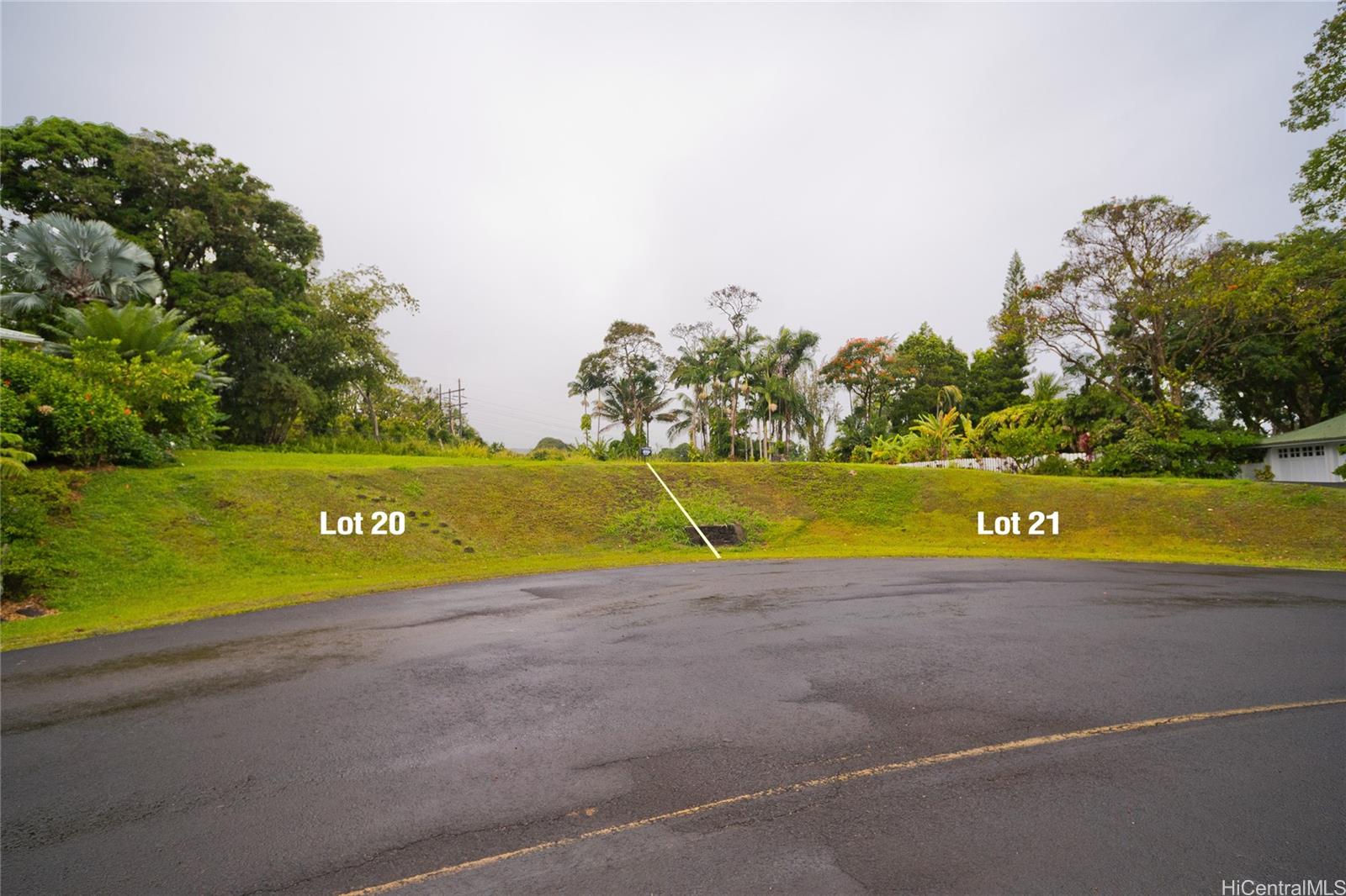 29-2291 Hanamalo Loop  Hakalau, Hi vacant land for sale - photo 6 of 9