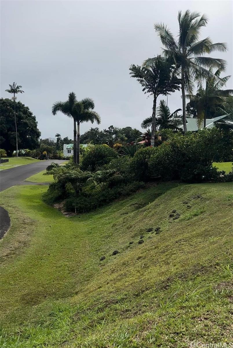 29-2291 Hanamalo Loop  Hakalau, Hi vacant land for sale - photo 7 of 9