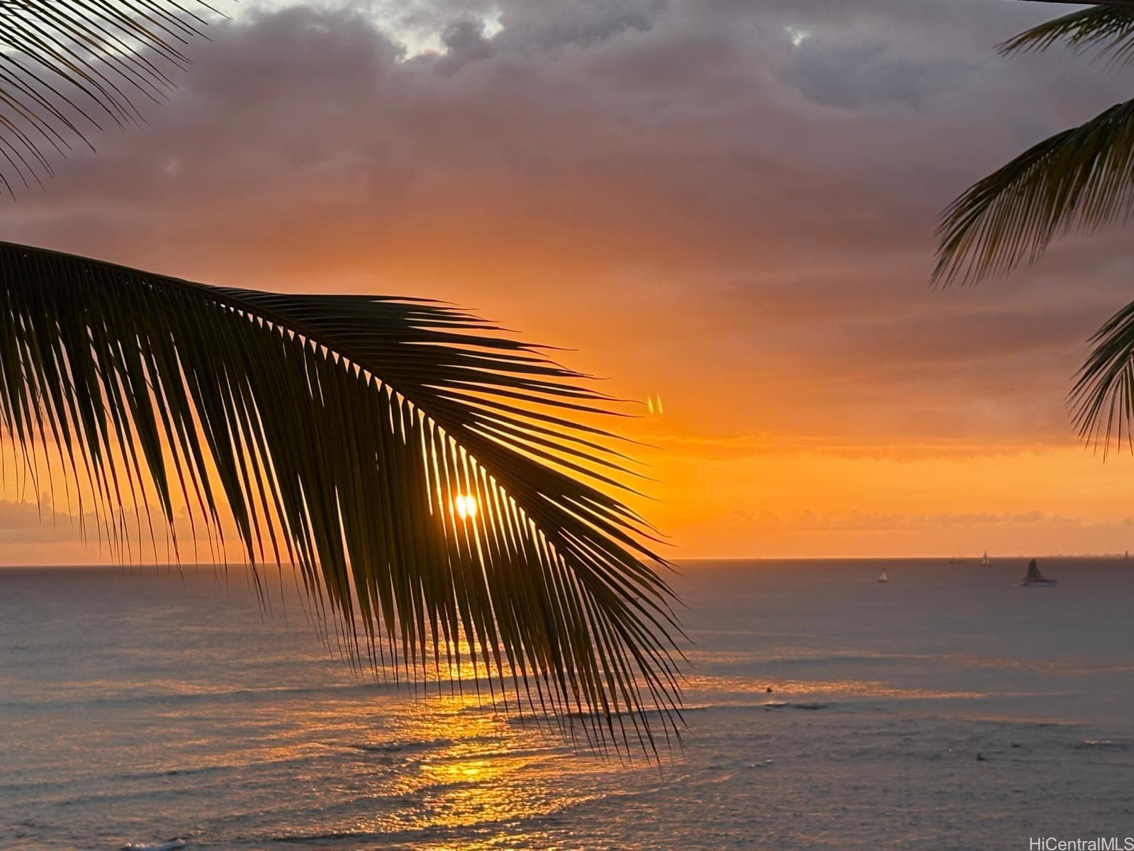 2943 Kalakaua Ave Honolulu - Rental - photo 23 of 23