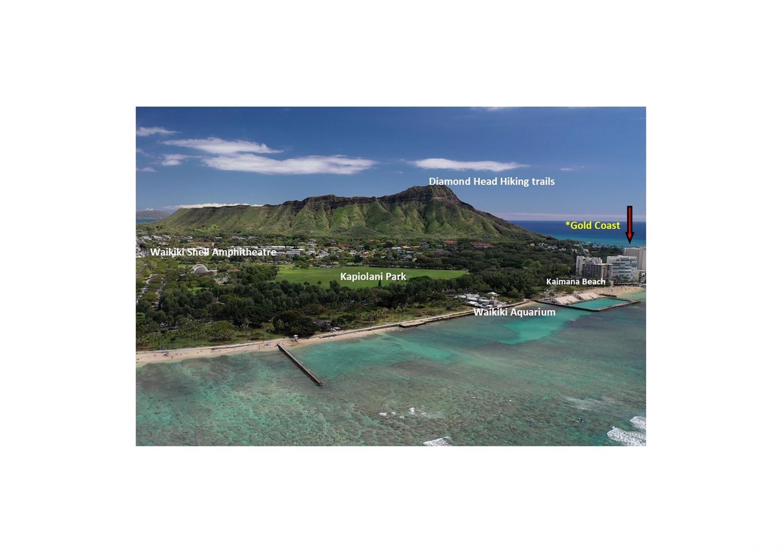 Diamond Head Apts Ltd condo # 306, Honolulu, Hawaii - photo 24 of 25