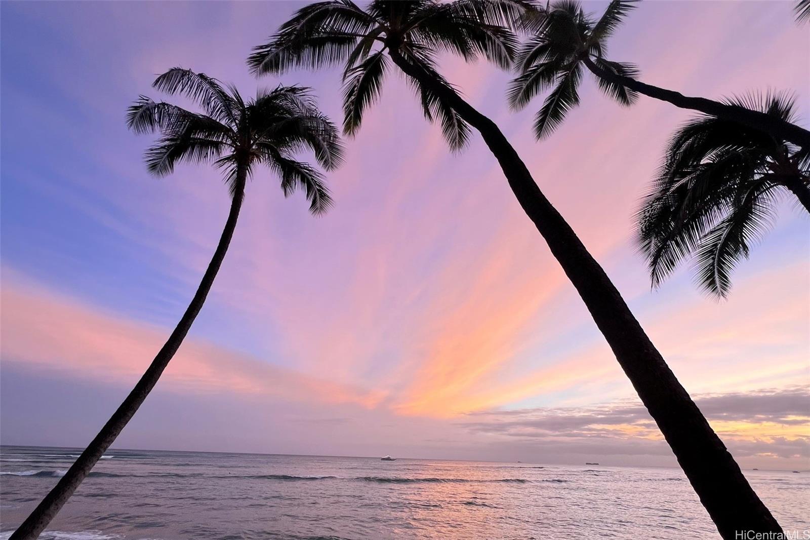2987 Kalakaua condo # 205, Honolulu, Hawaii - photo 17 of 22