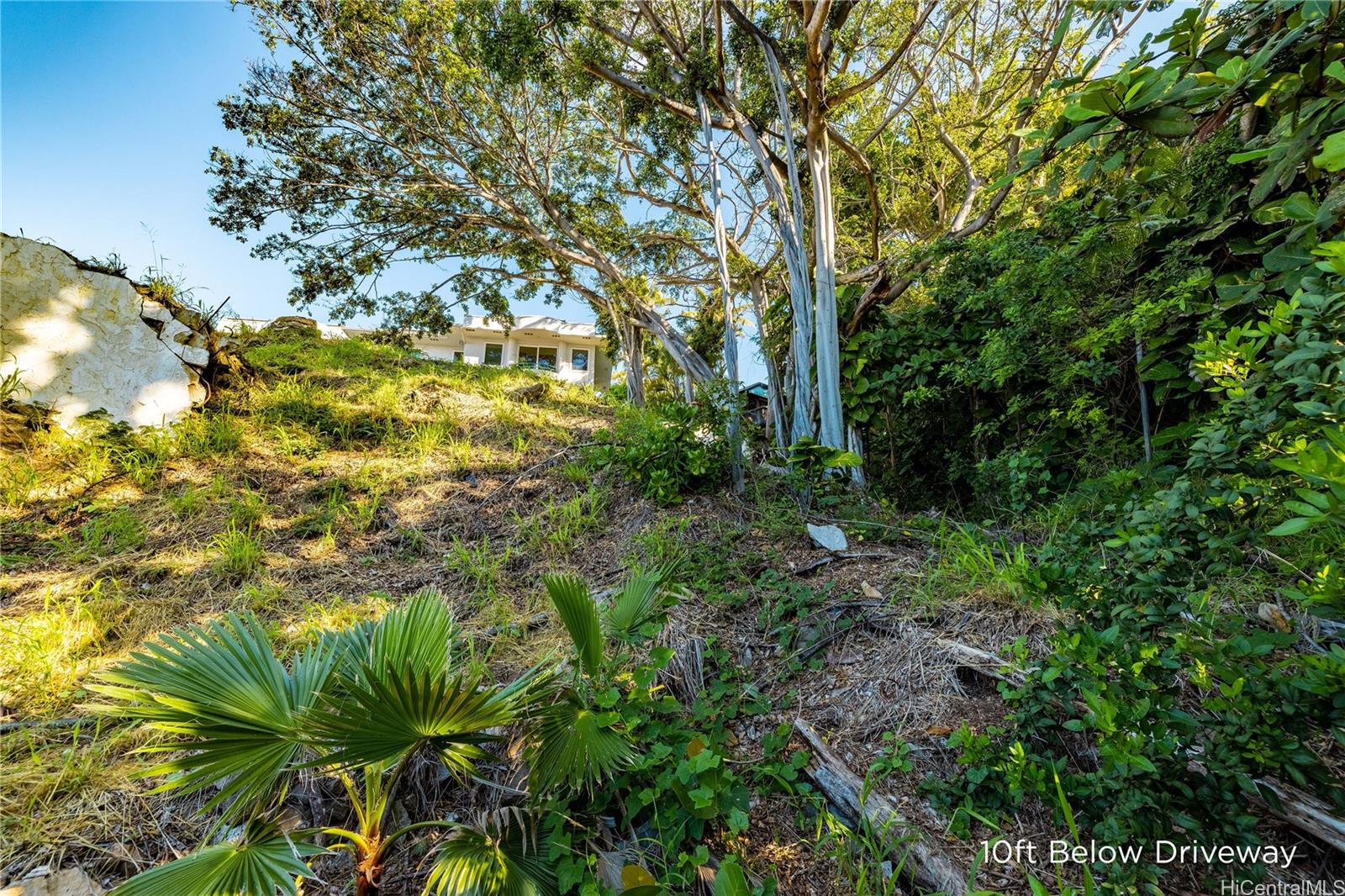 3 Poipu Drive  Honolulu, Hi vacant land for sale - photo 18 of 23