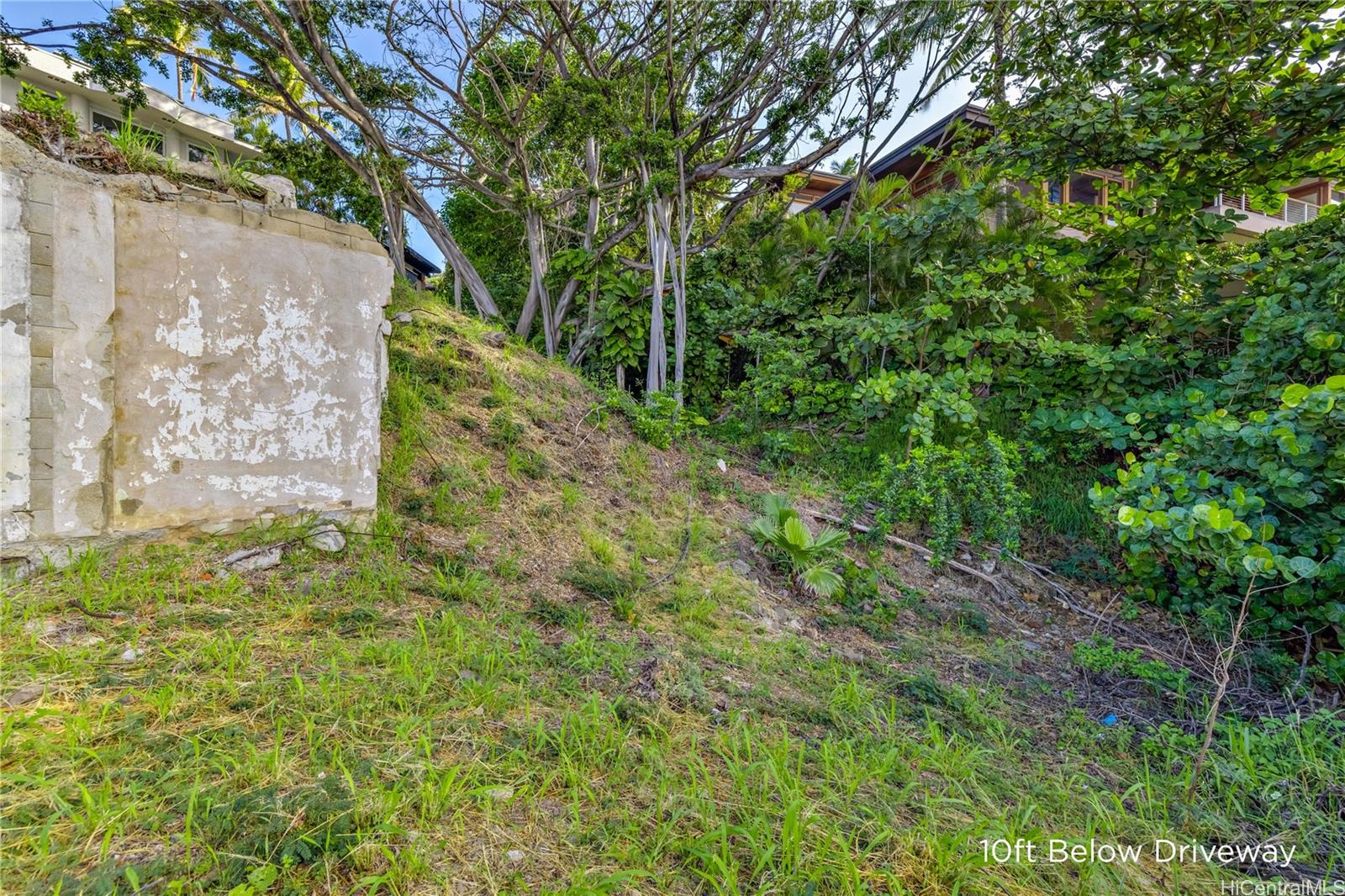 3 Poipu Drive  Honolulu, Hi vacant land for sale - photo 5 of 24