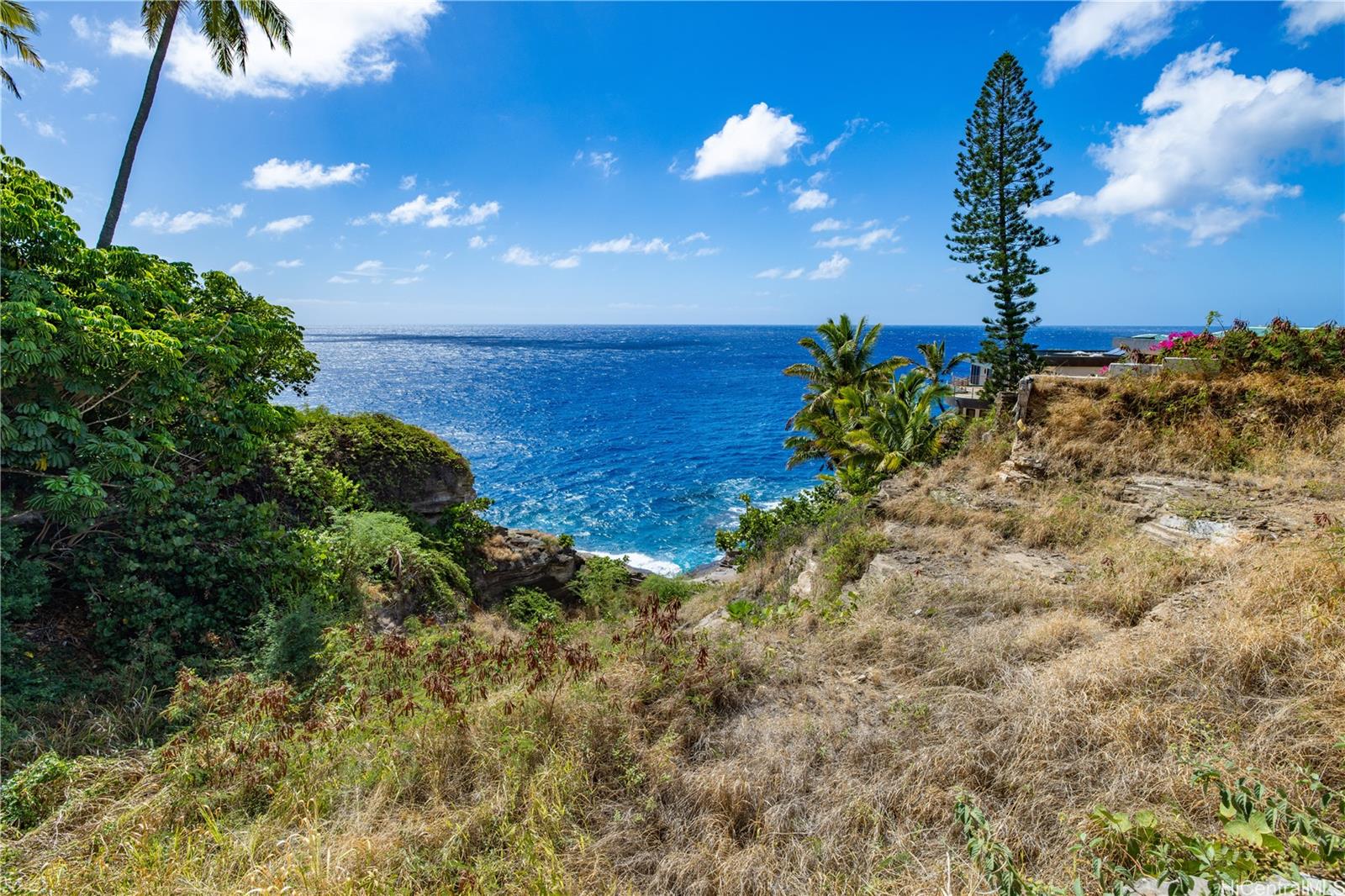 3 Poipu Drive  Honolulu, Hi vacant land for sale - photo 7 of 23