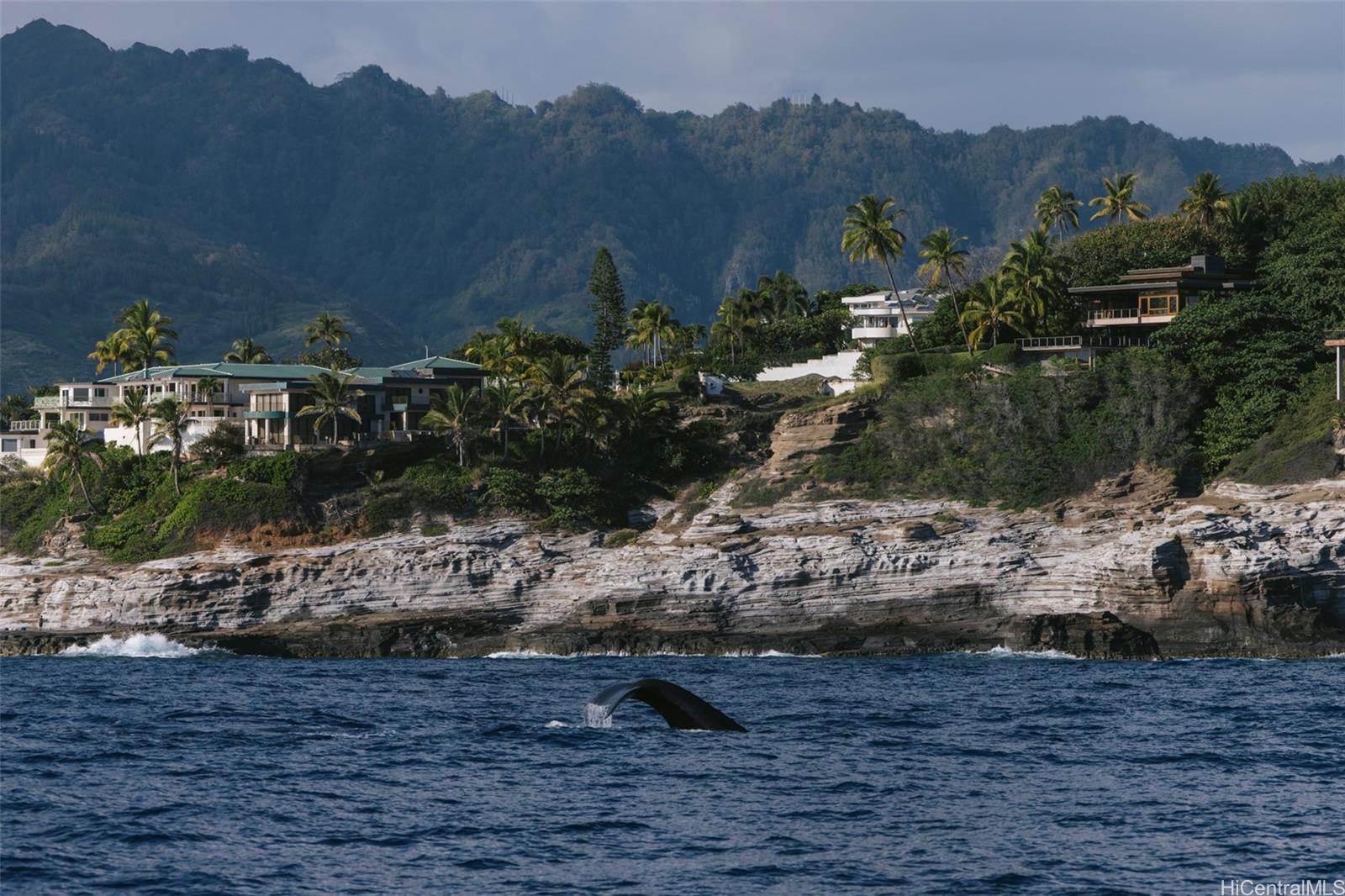 3 Poipu Dr  Honolulu, Hi vacant land for sale - photo 14 of 21