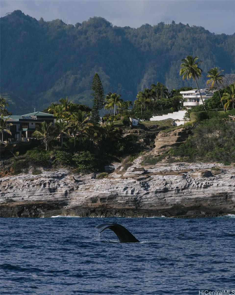 3 Poipu Dr  Honolulu, Hi vacant land for sale - photo 17 of 21