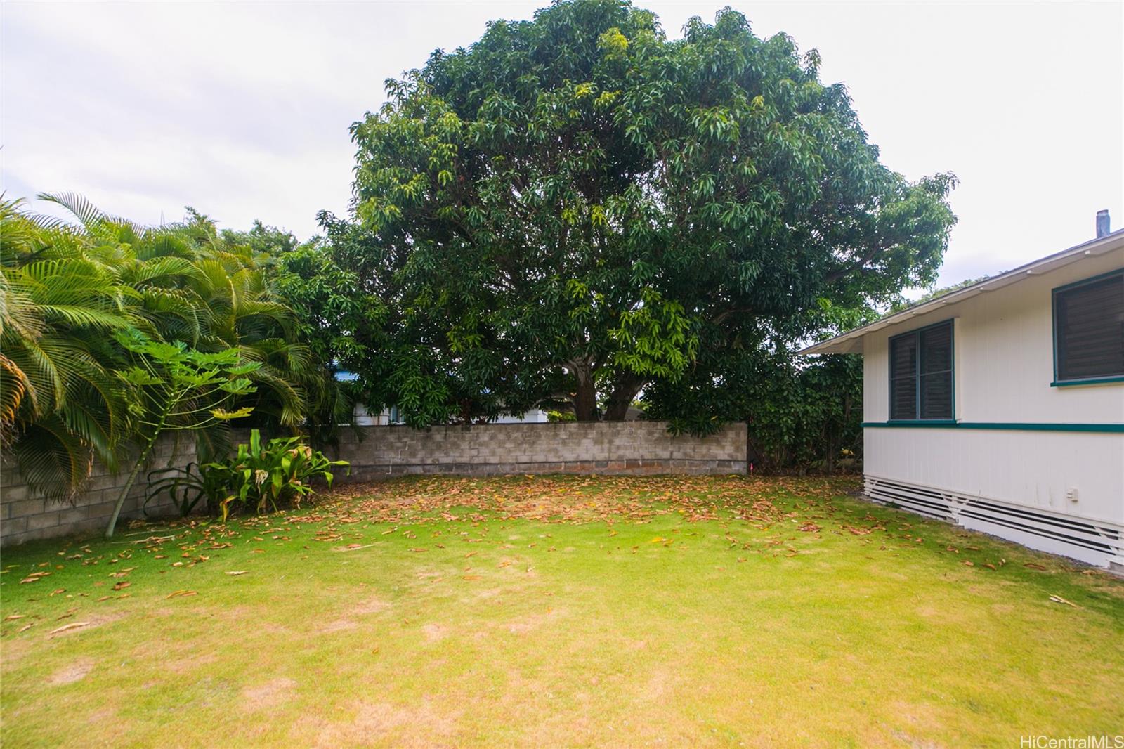 30 Maluniu Ave KAILUA - Rental - photo 20 of 25