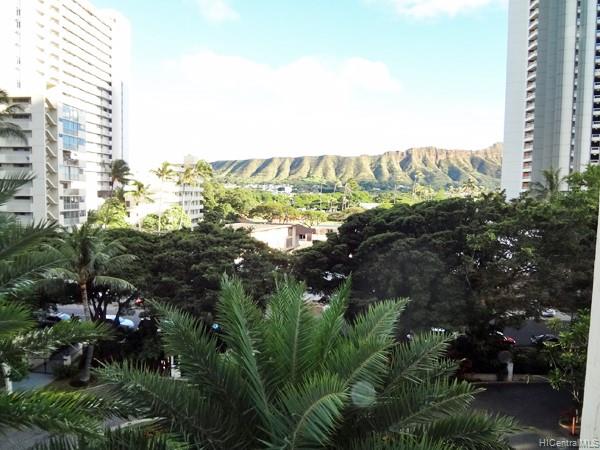 300 Wai Nani Way Honolulu - Rental - photo 8 of 15