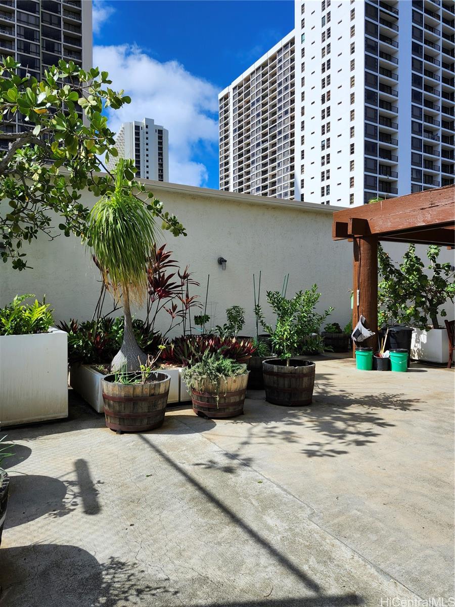 300 Wai Nani Way Honolulu - Rental - photo 8 of 16