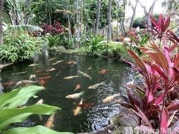 Liliuokalani Gardens condo # II1811, Honolulu, Hawaii - photo 20 of 25