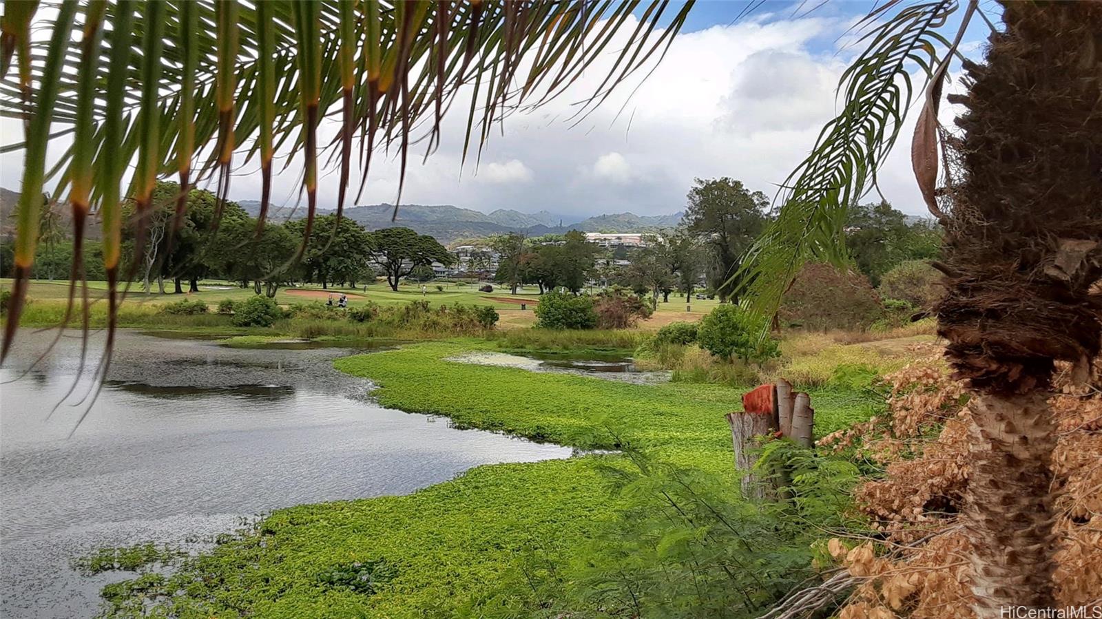 Country Club Village 6 condo # 808, Honolulu, Hawaii - photo 14 of 15