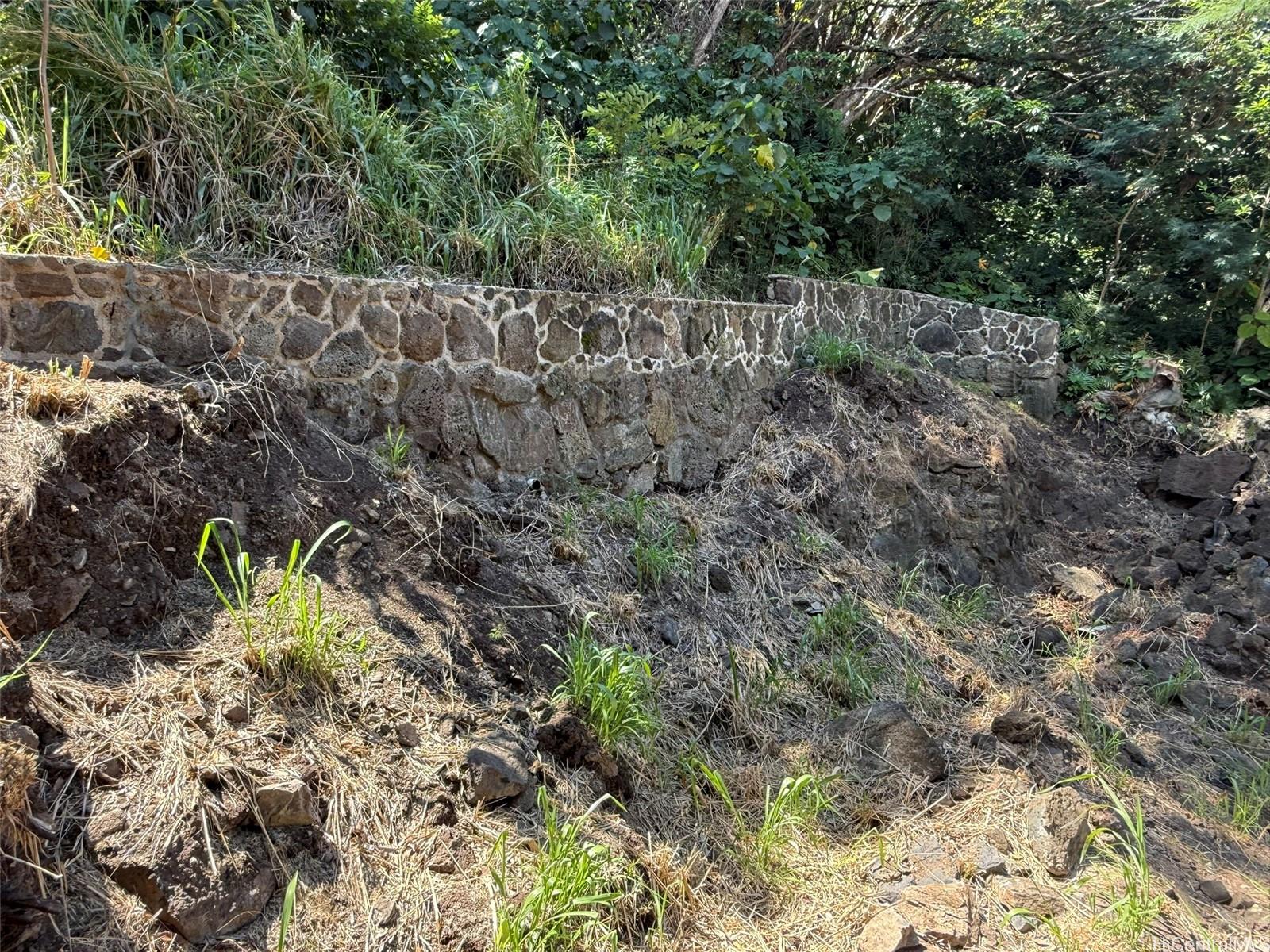 3059 Woolsey Place  Honolulu, Hi vacant land for sale - photo 16 of 18