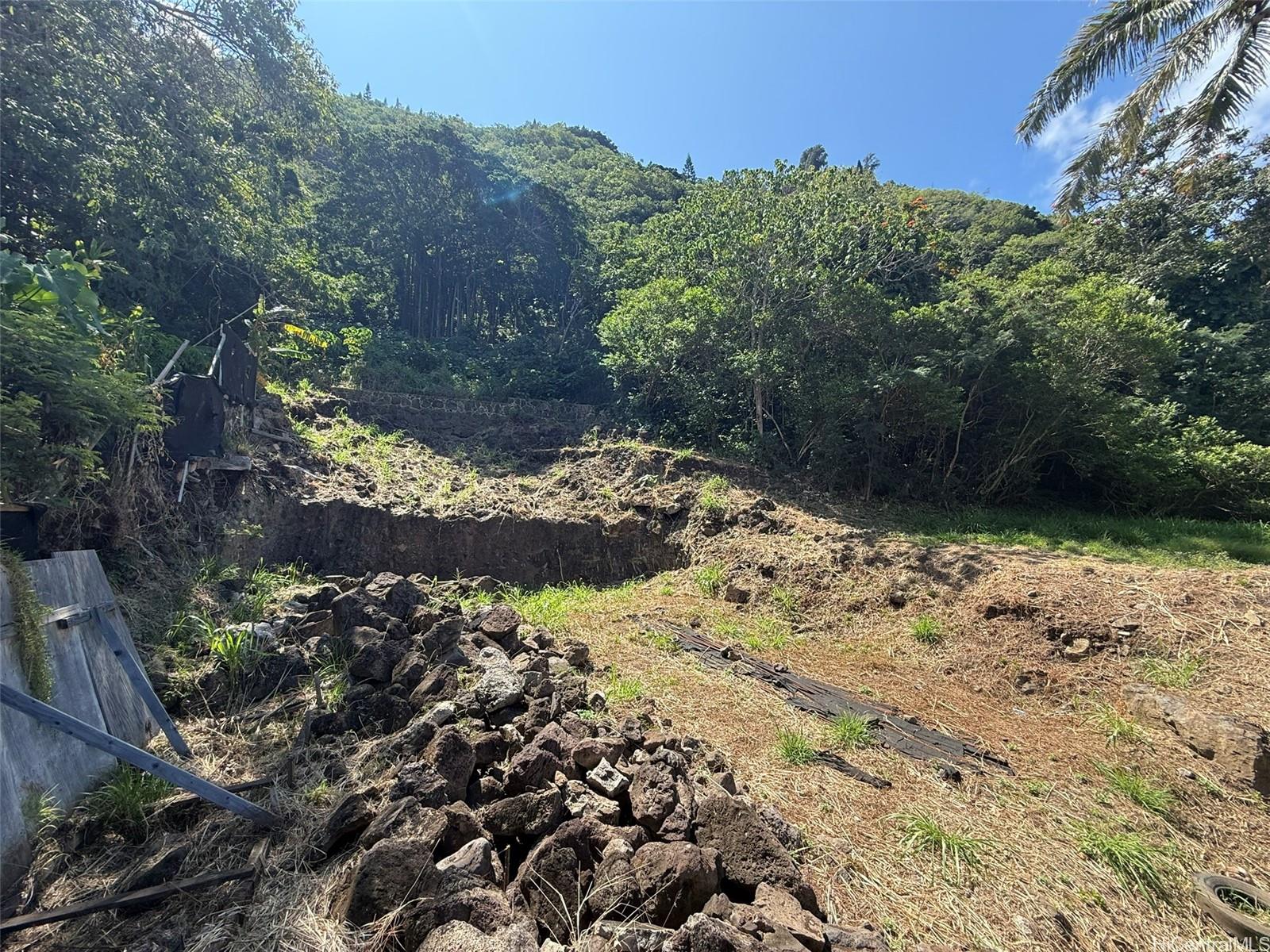 3059 Woolsey Place  Honolulu, Hi vacant land for sale - photo 4 of 18
