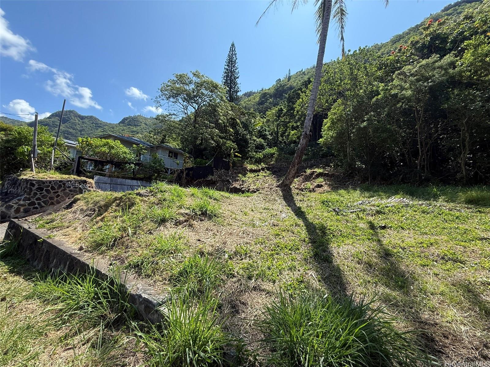 3059 Woolsey Pl  Honolulu, Hi vacant land for sale - photo 3 of 18