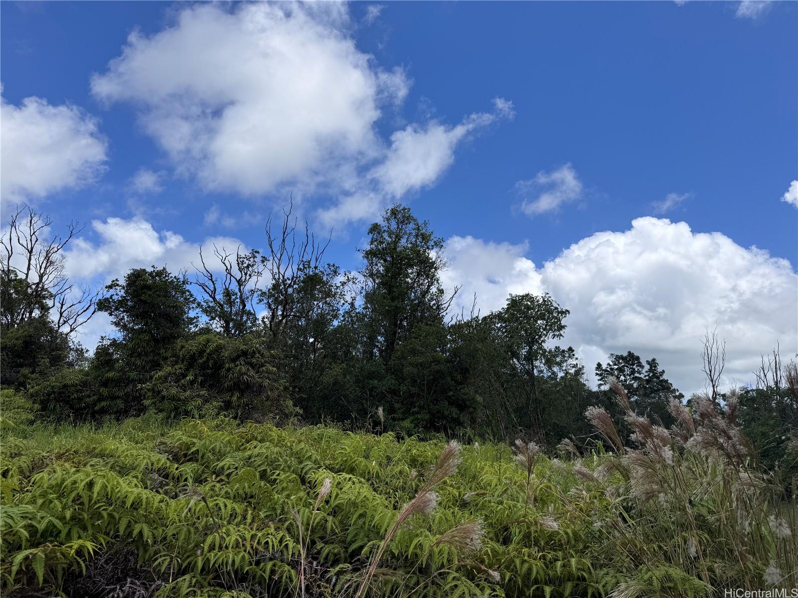 3076 Ainaola Drive  Hilo, Hi vacant land for sale - photo 6 of 12