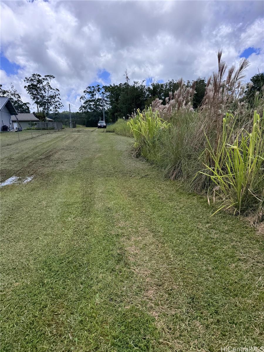 3076 Ainaola Drive  Hilo, Hi vacant land for sale - photo 7 of 12