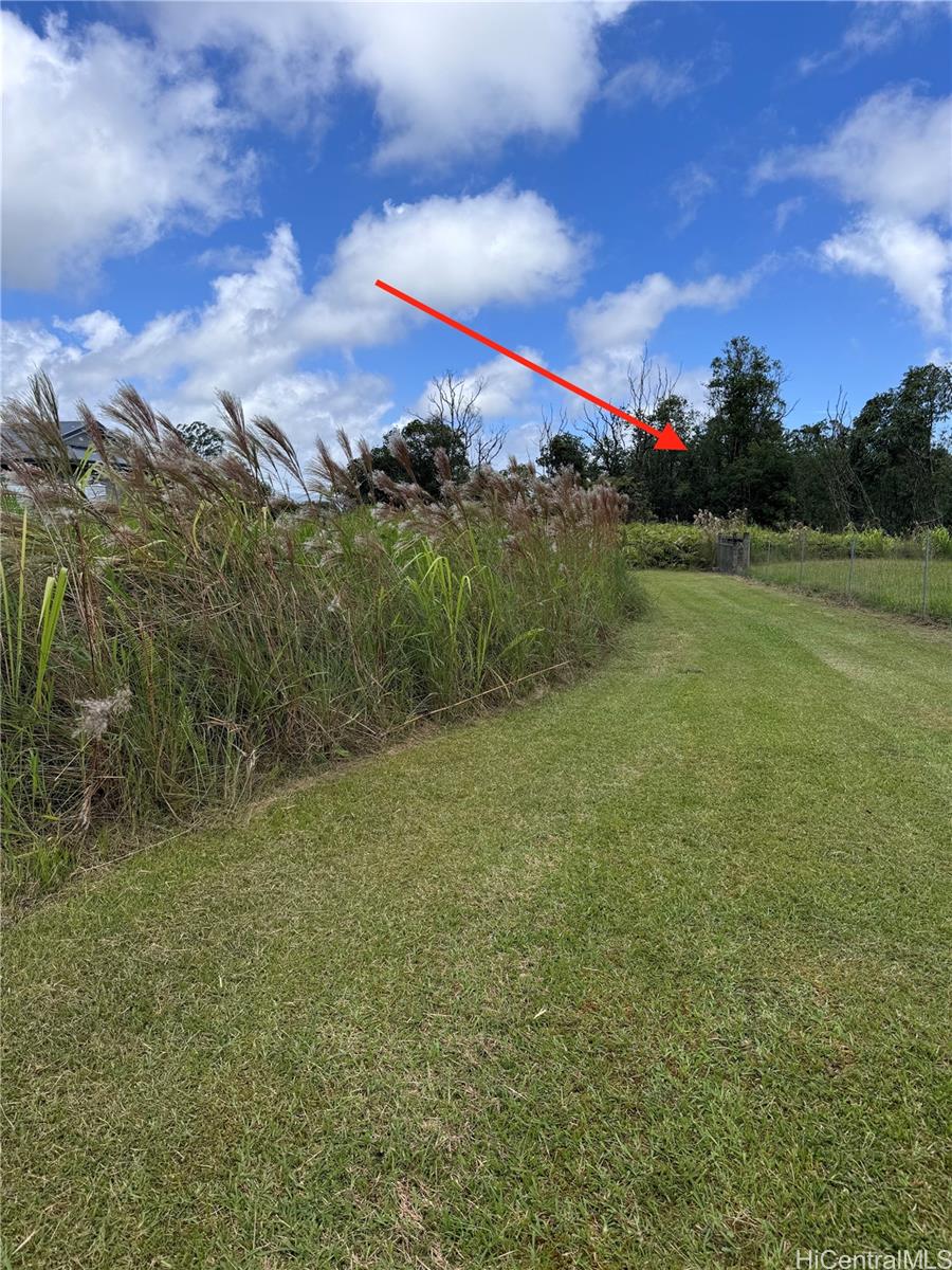 3076 Ainaola Drive  Hilo, Hi vacant land for sale - photo 8 of 12