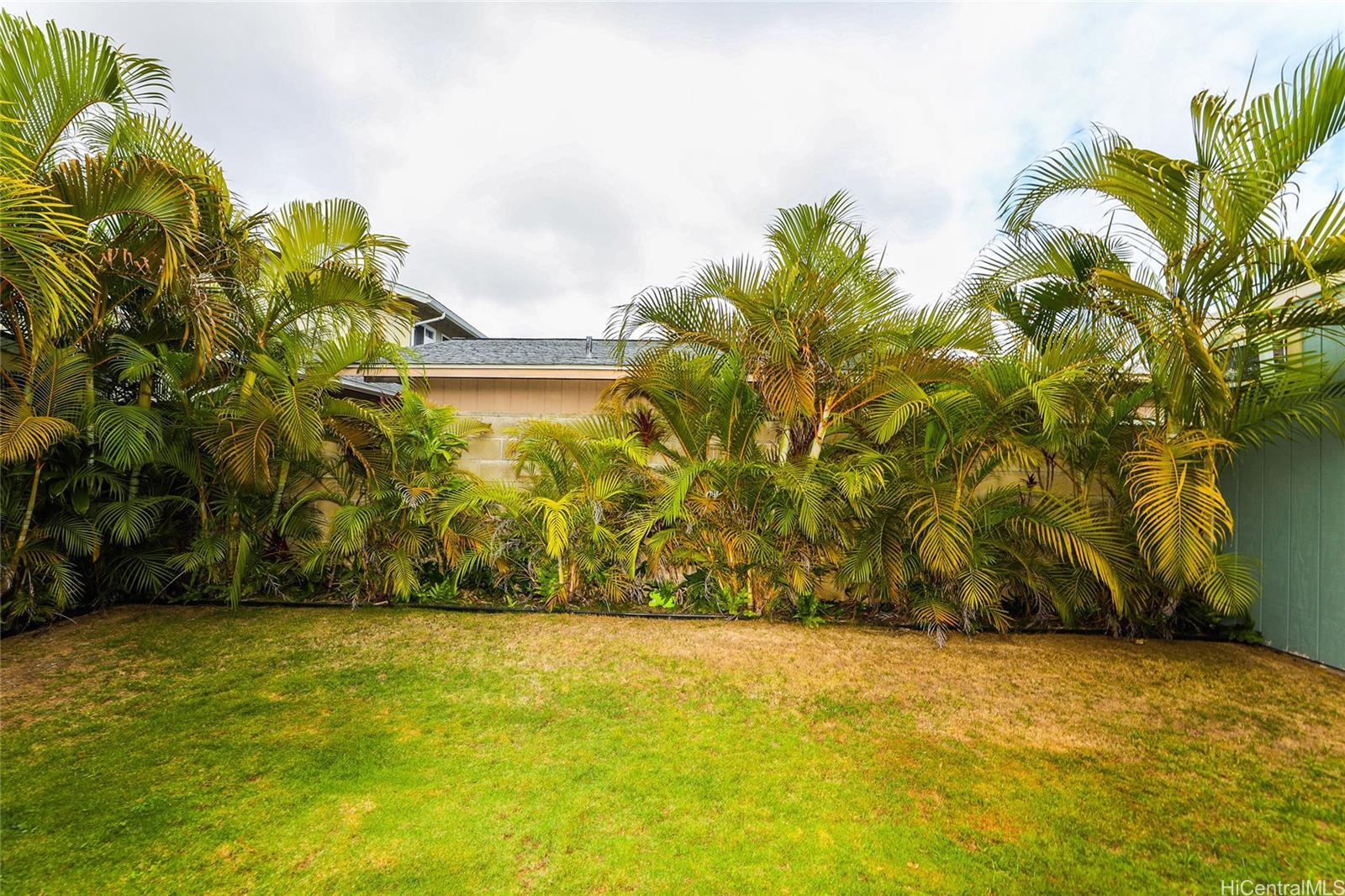 308 Maluniu Ave Kailua - Rental - photo 18 of 23