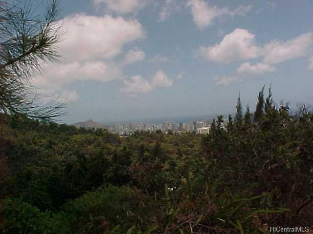 3101B Pacific Heights Rd  Honolulu, Hi vacant land for sale - photo 6 of 10