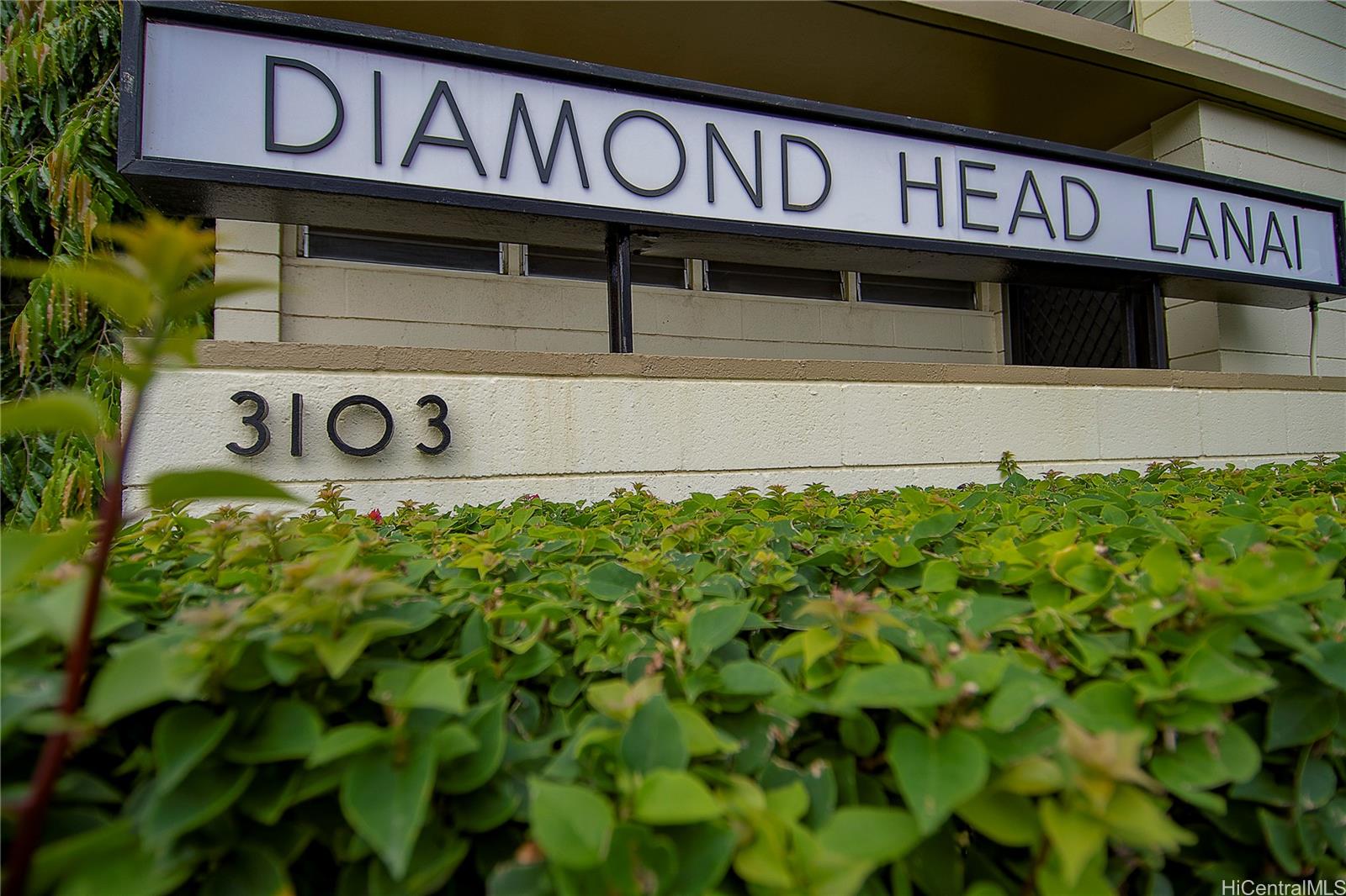 3103 Pualei Circle Honolulu - Rental - photo 21 of 22