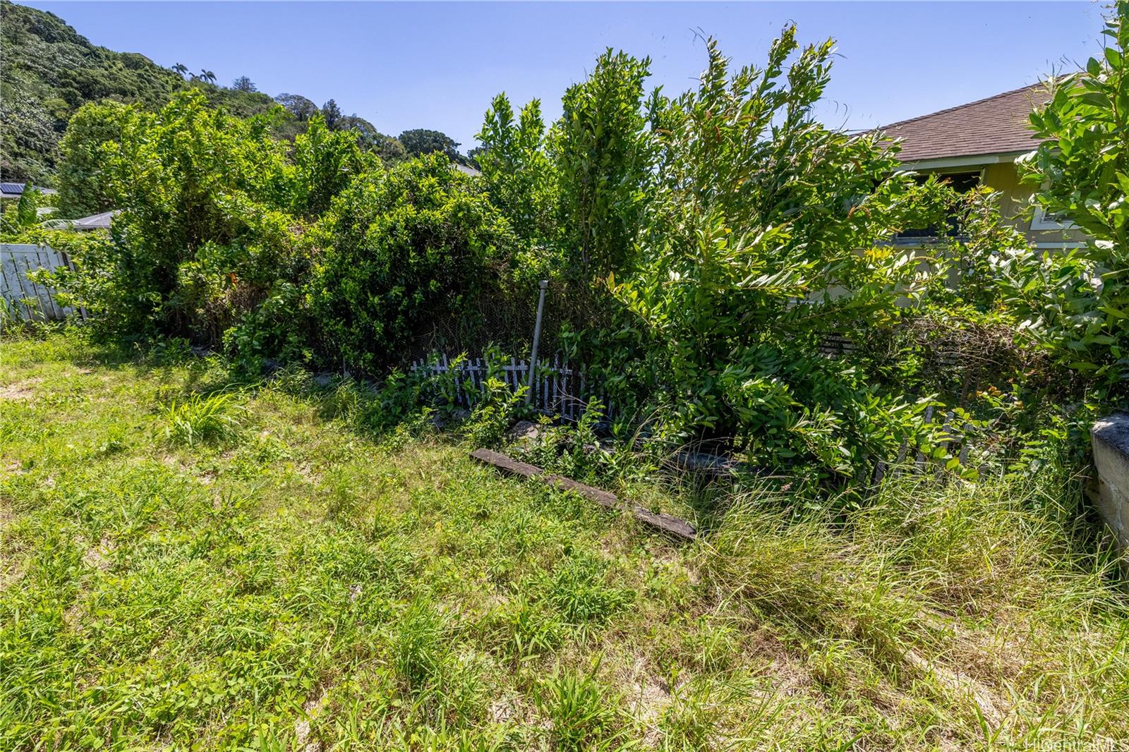313 Kapulei Street  Honolulu, Hi vacant land for sale - photo 20 of 24