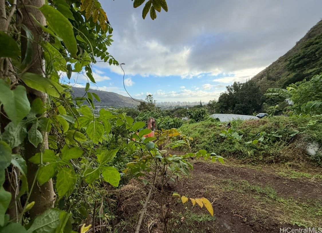 3133 Huelani Pl  Honolulu, Hi vacant land for sale - photo 5 of 17