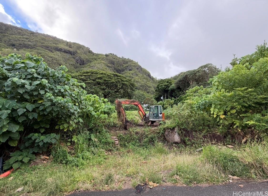 3133 Huelani Pl  Honolulu, Hi vacant land for sale - photo 7 of 17