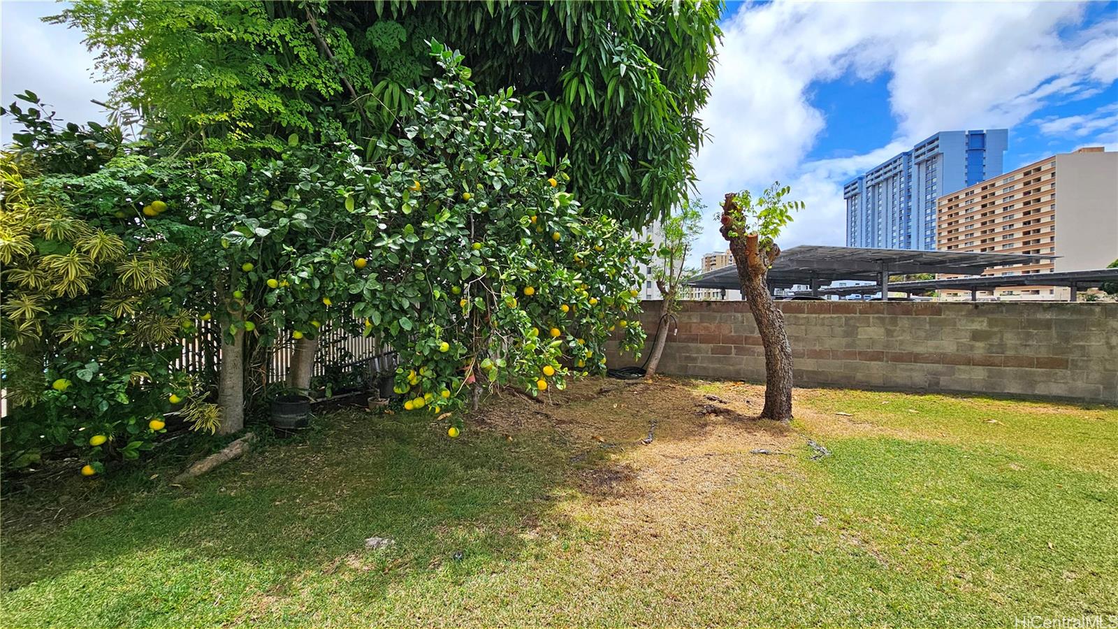 Pikake Manor condo # 204, Honolulu, Hawaii - photo 14 of 19