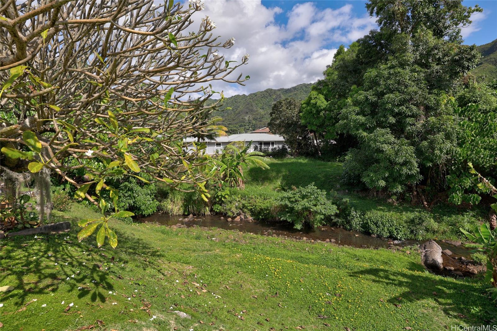 3175  Poelua Place Manoa Area, Honolulu home - photo 16 of 24