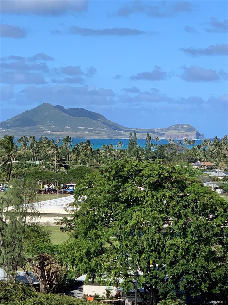 Windward Passage 903, 322 Aoloa Street, Kailua Kailua Town