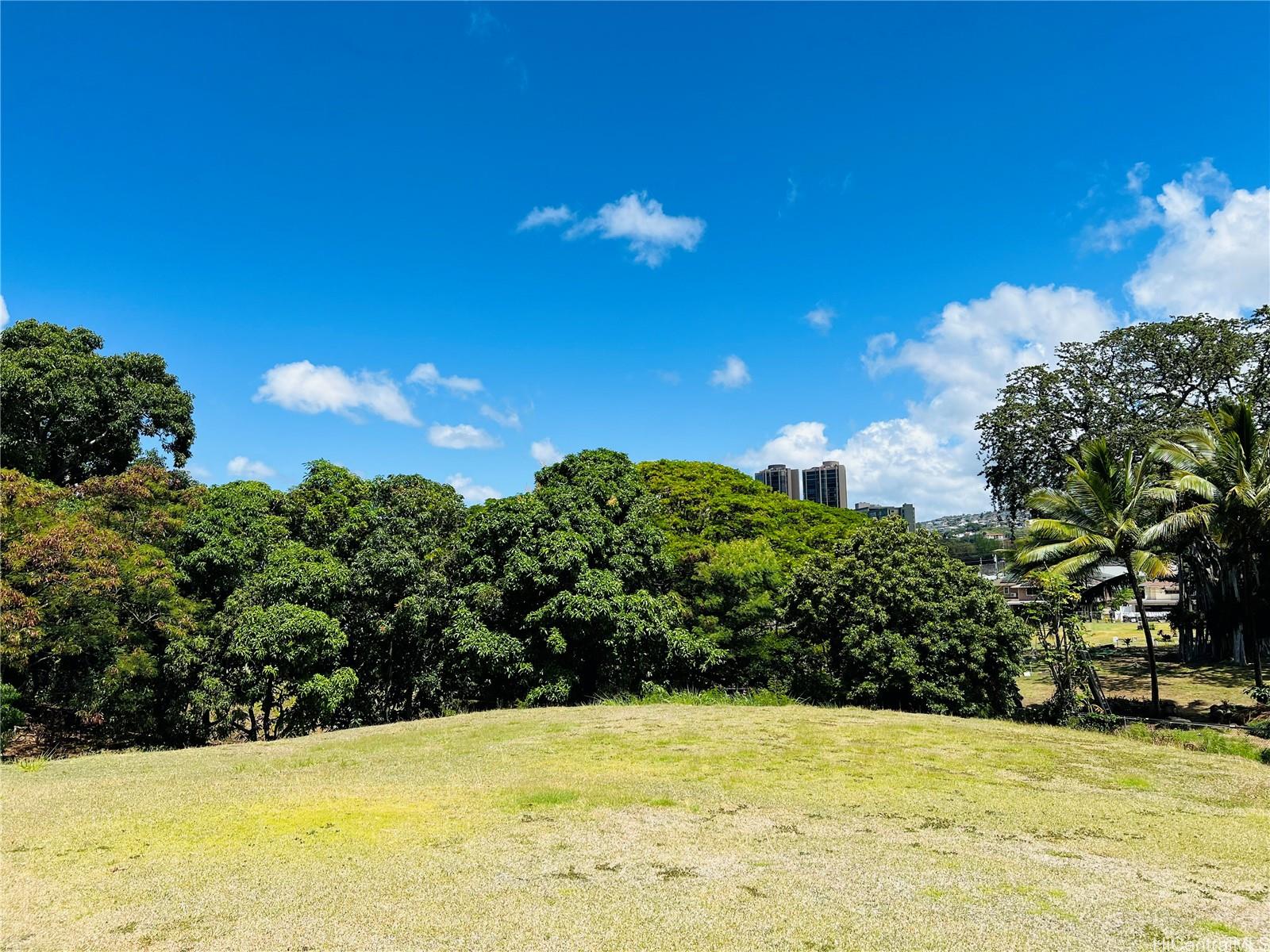 322 Auwaiolimu Street Honolulu - Multi-family - photo 14 of 18