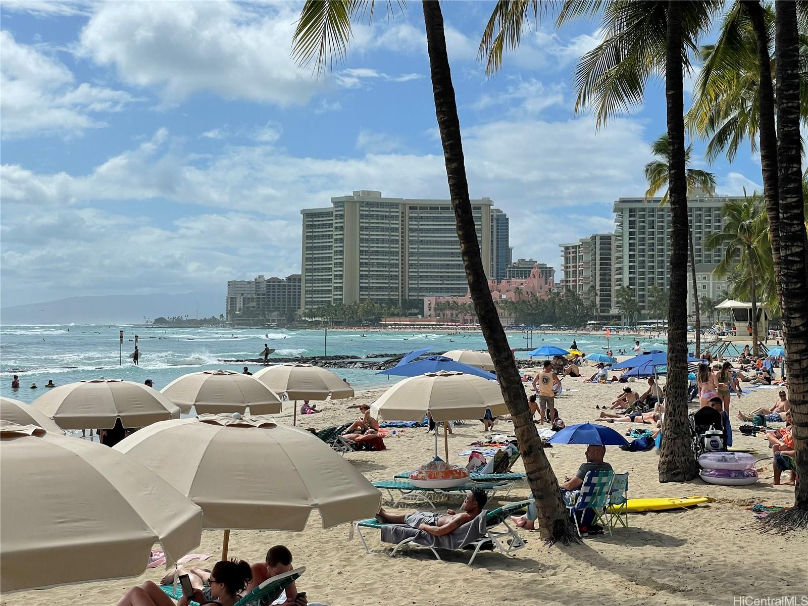 3223 Monsarrat Ave Honolulu - Rental - photo 12 of 12