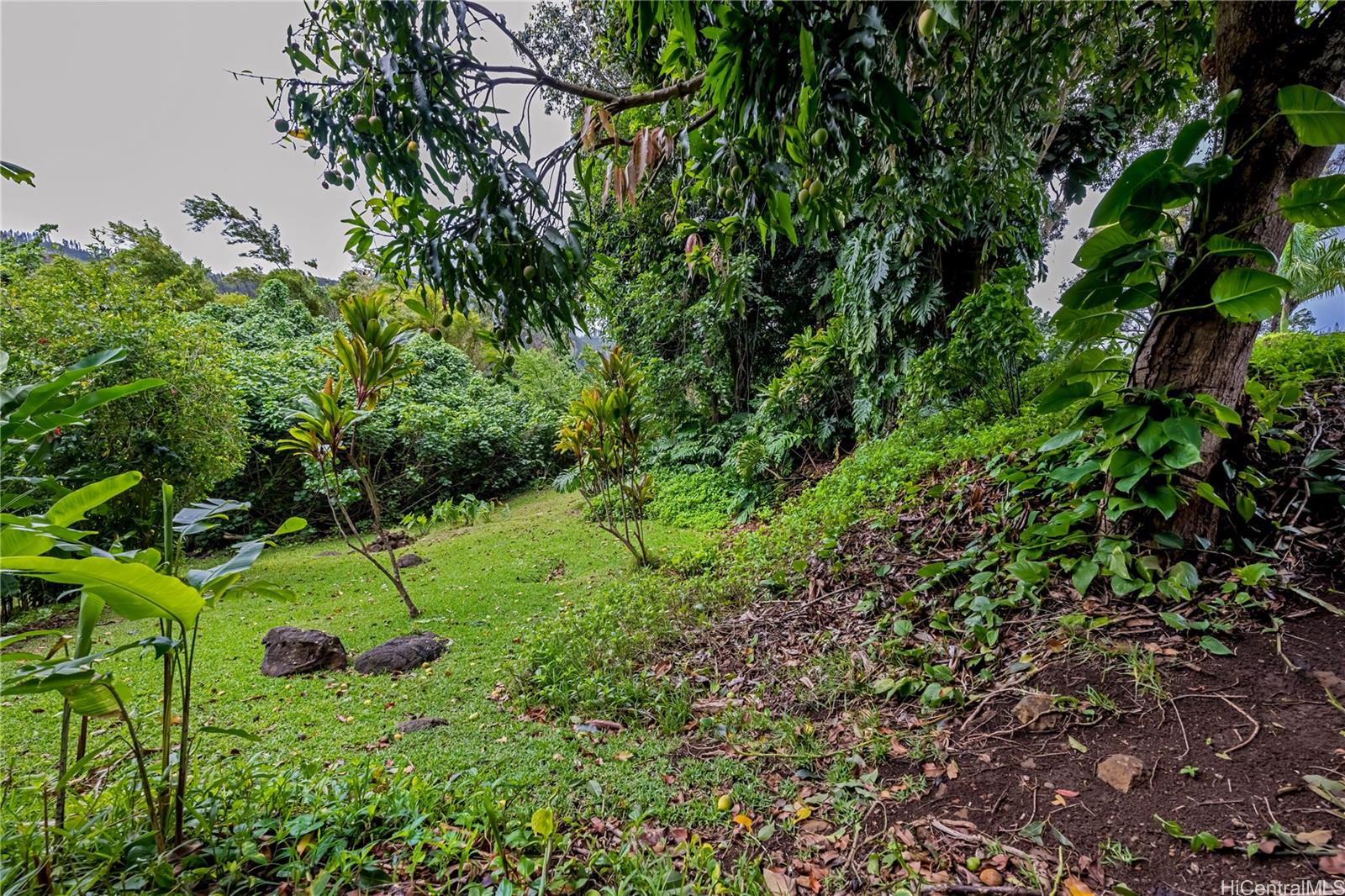 3224 Pelekane Dr Parcel 053 Honolulu, Hi vacant land for sale - photo 3 of 7