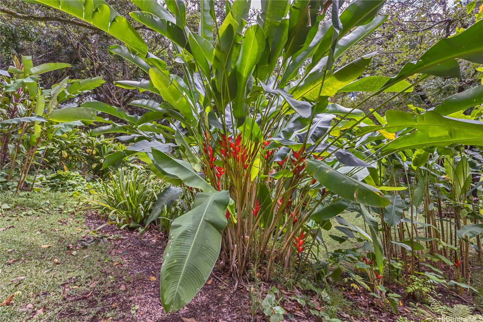 3224 Pelekane Drive Parcel 053 Honolulu, Hi vacant land for sale - photo 7 of 9