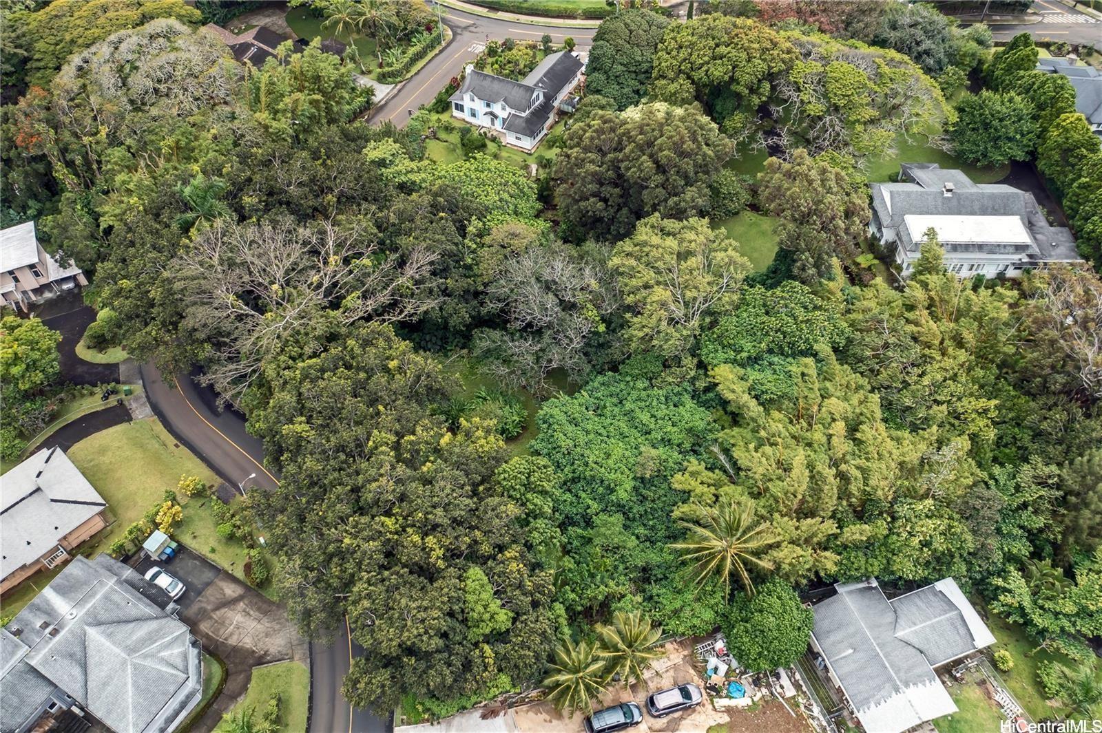 3224  Pelekane Dr Dowsett, Honolulu home - photo 3 of 15