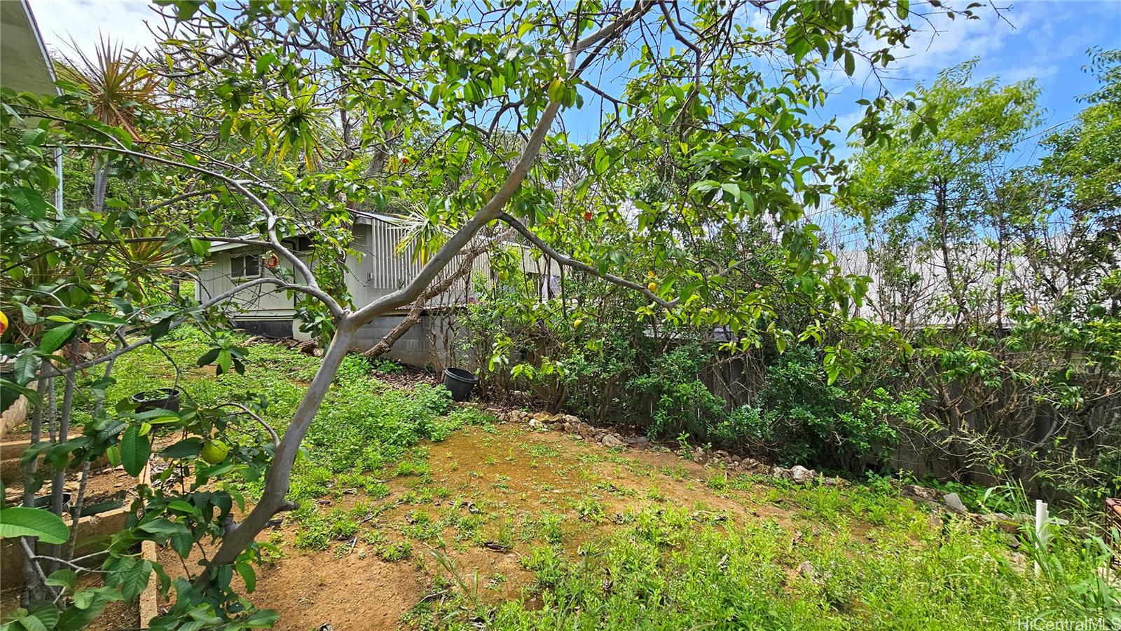 3229  Collins Street Kapahulu, Diamond Head home - photo 13 of 18