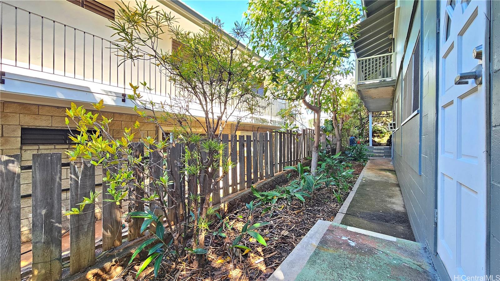 3237  Olu Street Kapahulu, Diamond Head home - photo 8 of 19