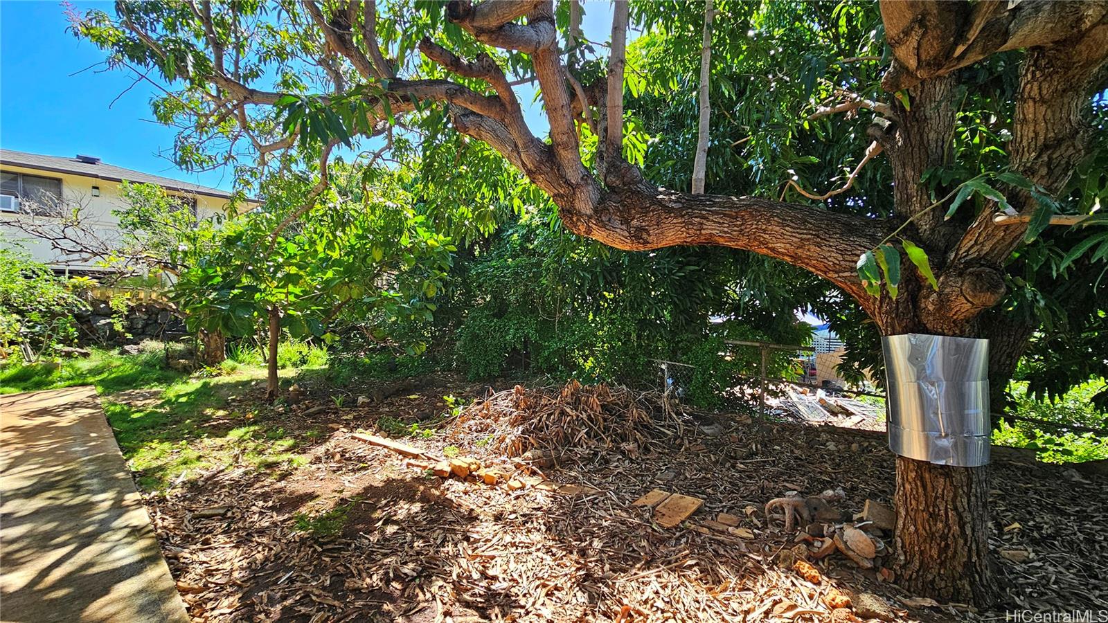 3237  Olu Street Kapahulu, Diamond Head home - photo 9 of 19