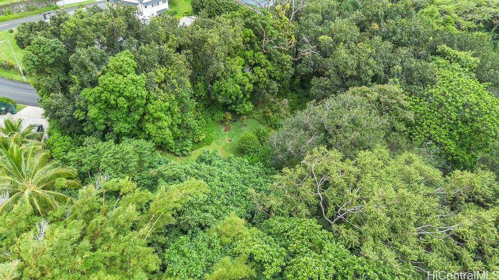 3242 Pelekane Drive  Honolulu, Hi vacant land for sale - photo 11 of 25
