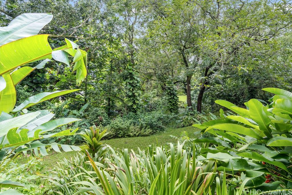 3242 Pelekane Drive  Honolulu, Hi vacant land for sale - photo 4 of 25