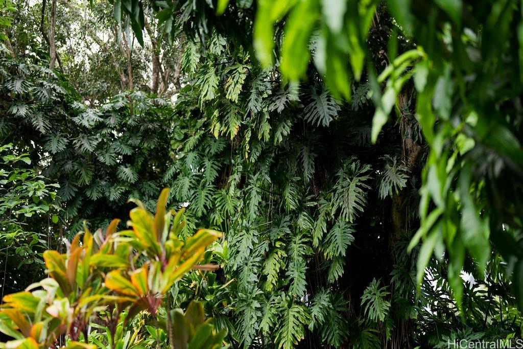 3242 Pelekane Drive  Honolulu, Hi vacant land for sale - photo 9 of 25