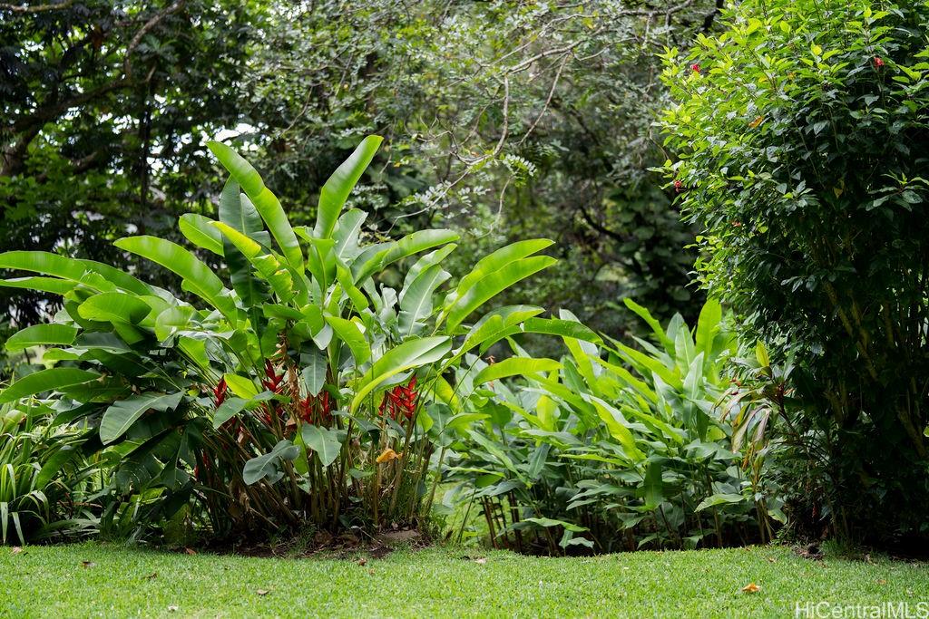 3242 Pelekane Drive  Honolulu, Hi vacant land for sale - photo 10 of 25