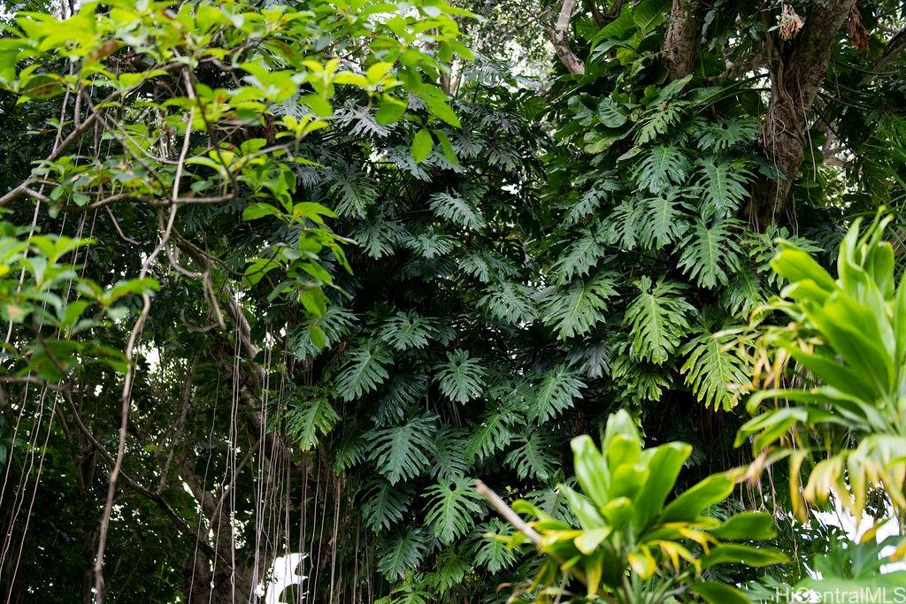 3242 Pelekane Drive  Honolulu, Hi vacant land for sale - photo 6 of 15