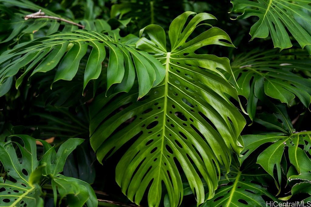 3242 Pelekane Drive  Honolulu, Hi vacant land for sale - photo 7 of 15