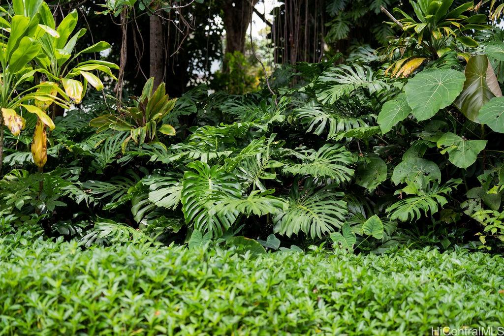 3242 Pelekane Drive  Honolulu, Hi vacant land for sale - photo 8 of 15