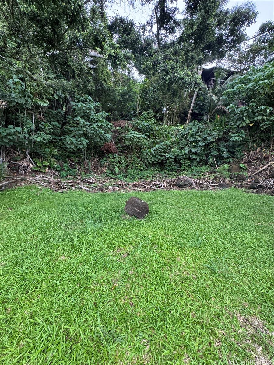 3369  Paty Drive Manoa-woodlawn, Honolulu home - photo 6 of 6