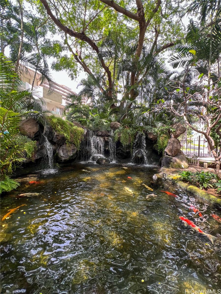 343 Hobron Ln Honolulu - Rental - photo 23 of 24