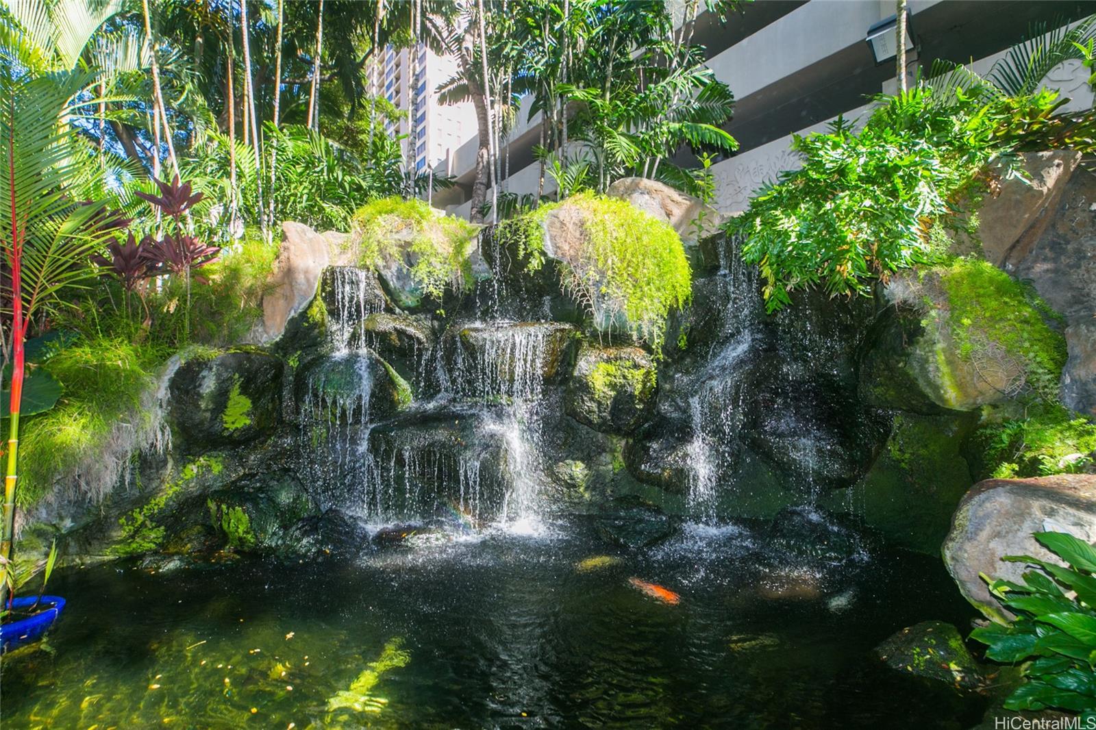 343 Hobron Ln Honolulu - Rental - photo 23 of 24