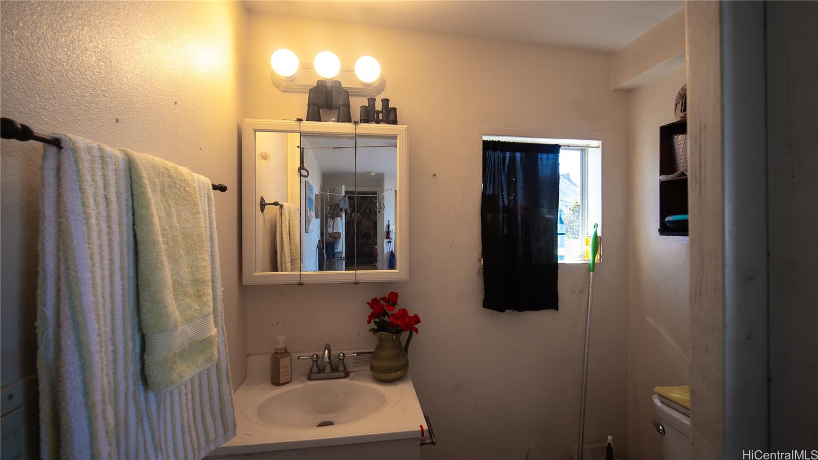 3455A  Wela Street Kapahulu, Diamond Head home - photo 20 of 25