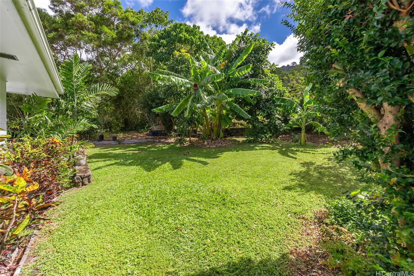 3541  Woodlawn Drive Manoa-woodlawn, Honolulu home - photo 15 of 25